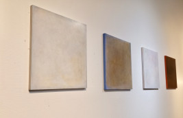 Gris printanier, gris particules, gris neige, gris d’or