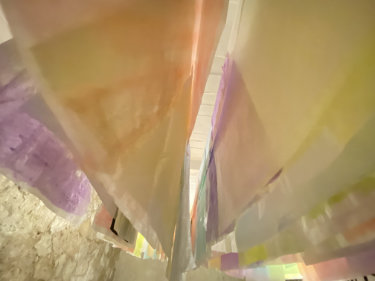 à la recherche des gris